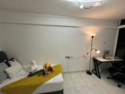 Loyang Valley (D17), Condominium #495774711